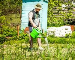 В России принят новый закон для дачников и садоводов: что в нем важного